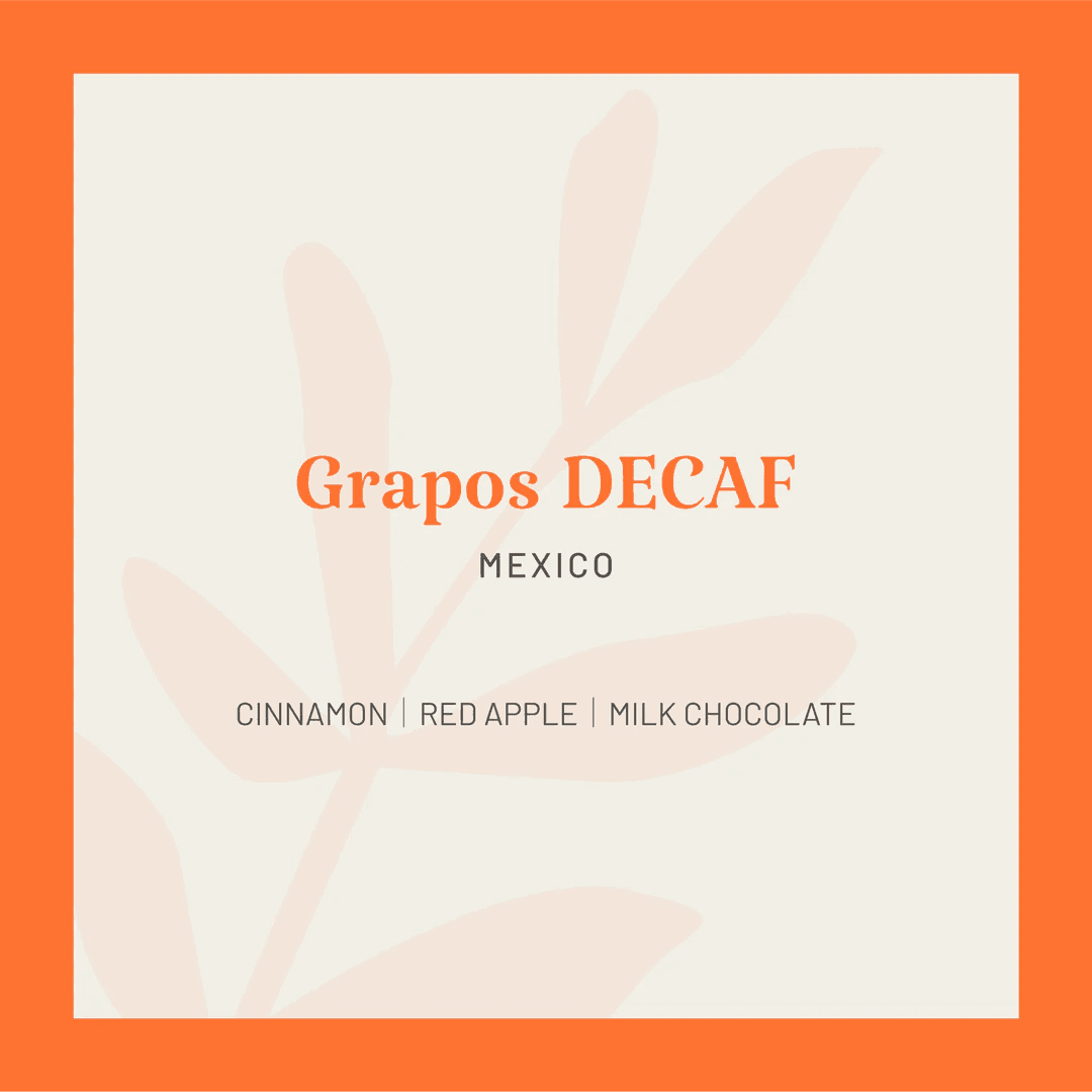 Image of Mexico Grapos - DECAF Organic