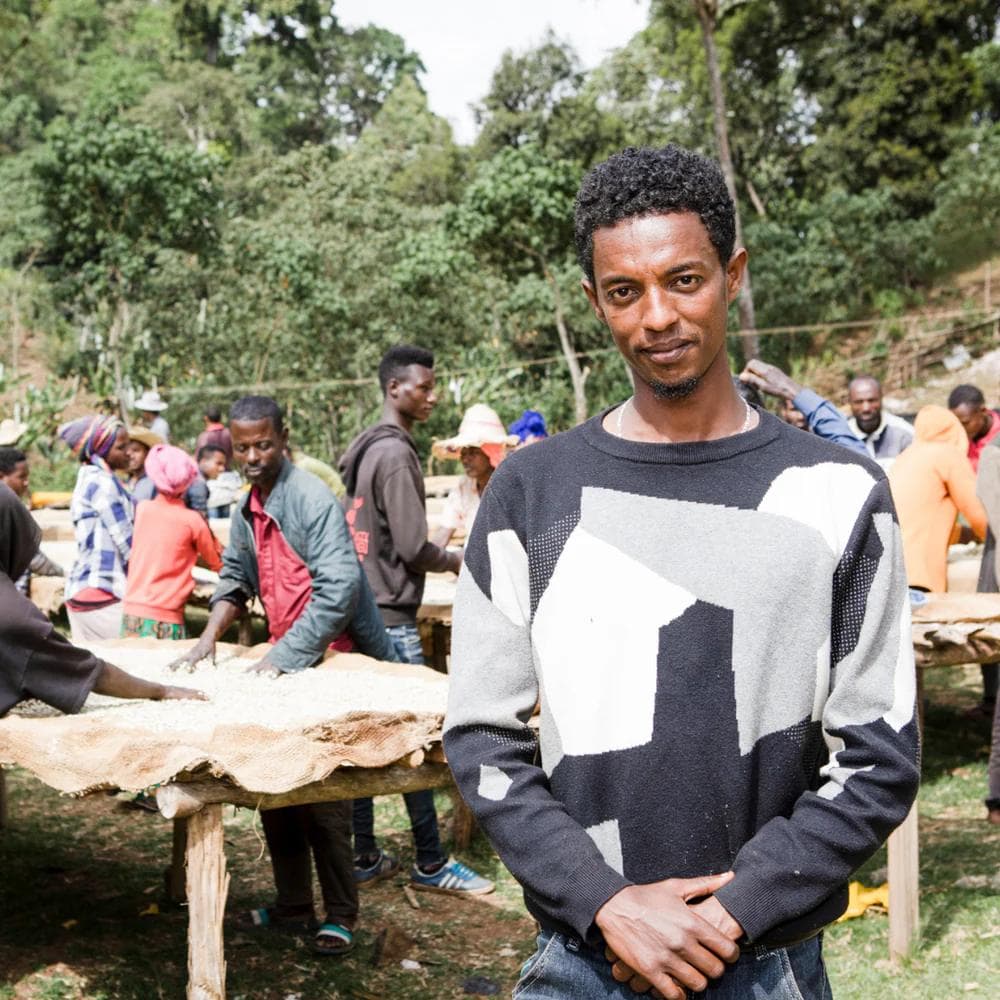 Image of Ethiopia - Refisa - Extended Fermentation Washed