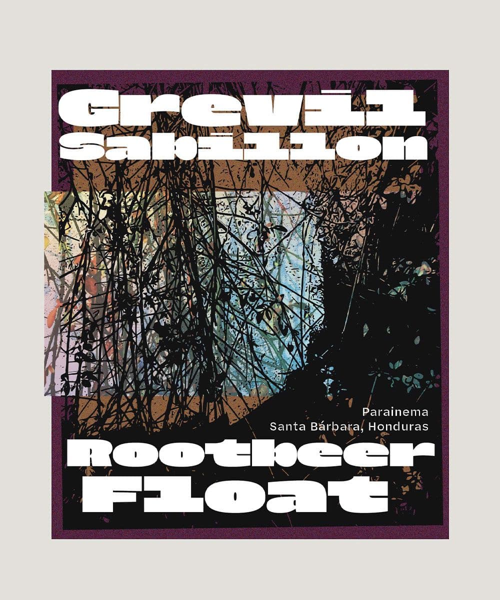 Image of Rootbeer Float Parainema by Grevil Sabillon