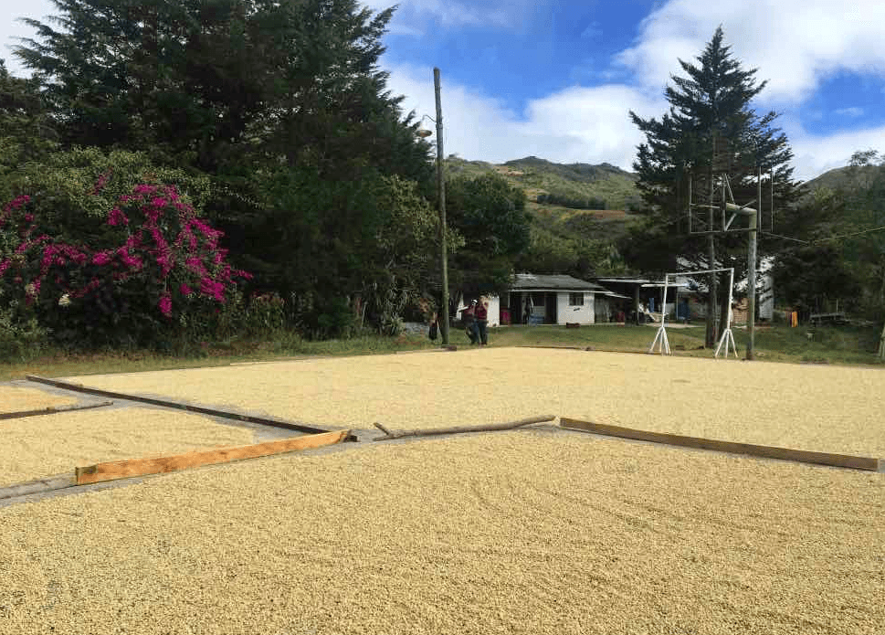 Image of Colombia Aponte