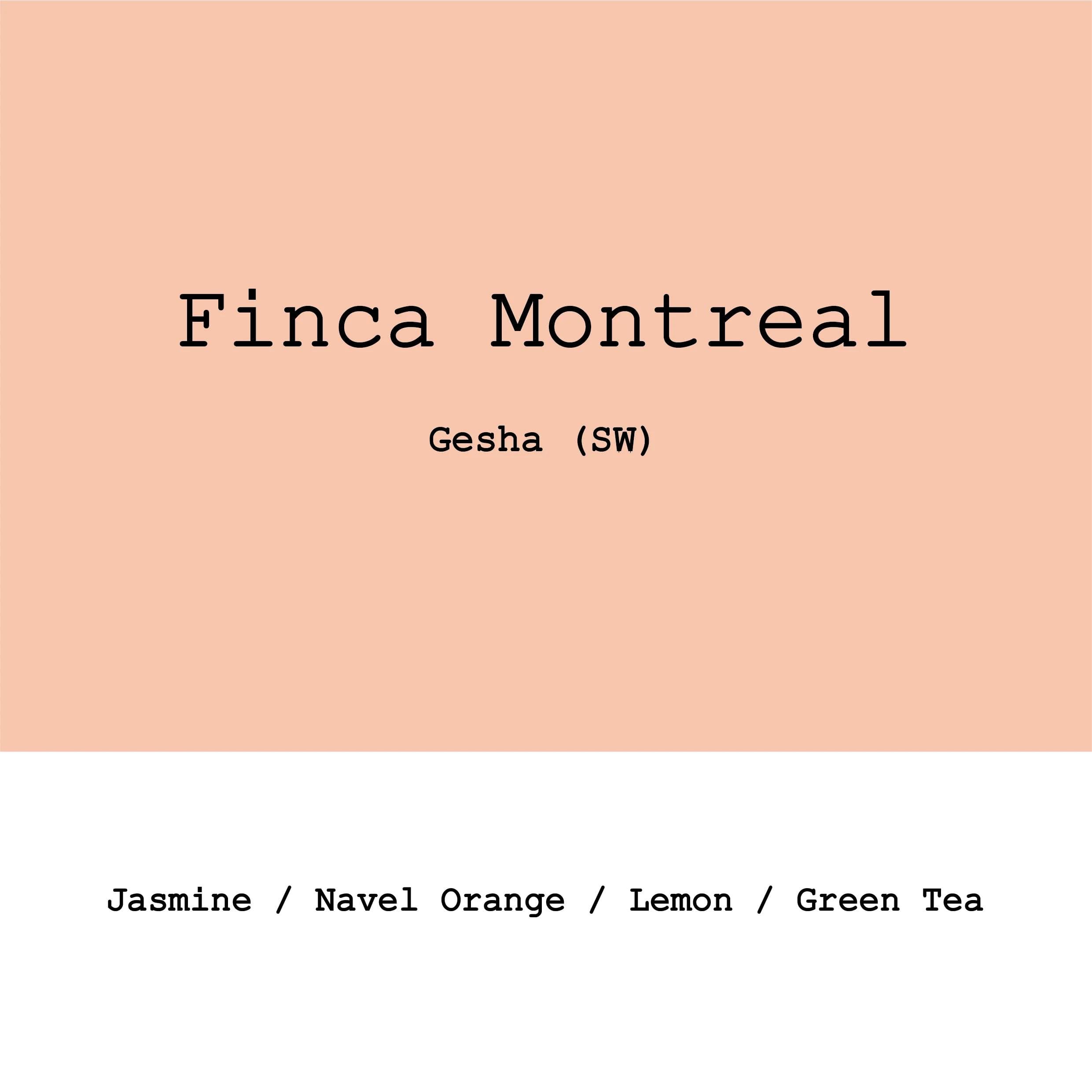 Image of New Crop Colombia Finca Montreal Gesha Semi-washed