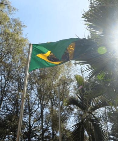 Image of Brazil - Daterra Summer Solstice - Tree-dried Natural