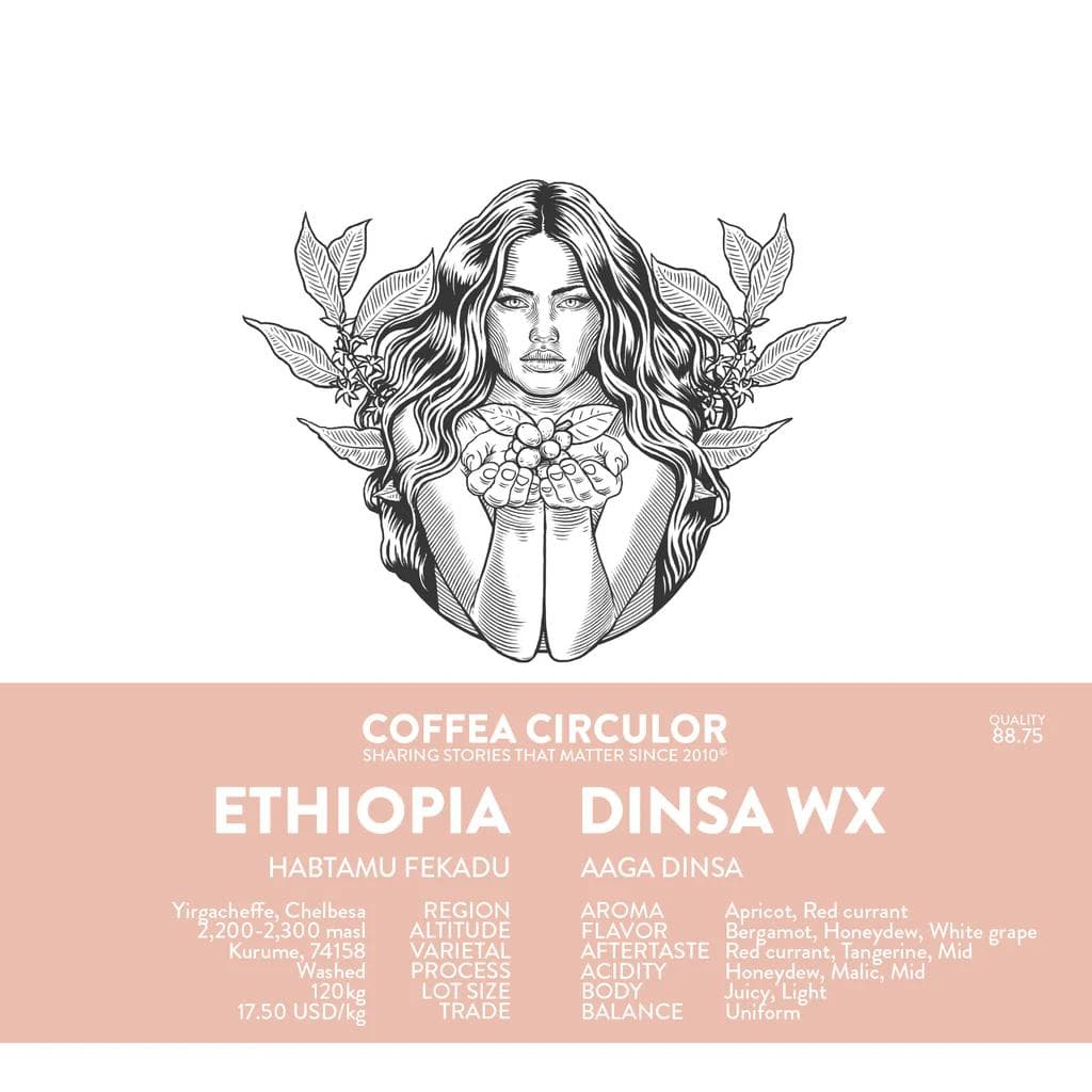 Image of ETHIOPIA Dinsa Washed WX