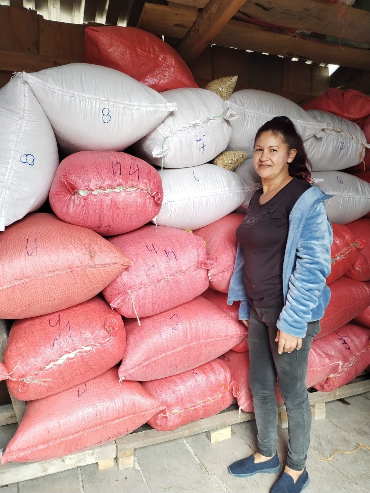 Image of Honduras Los Alcipreces - Emiliana Montoya