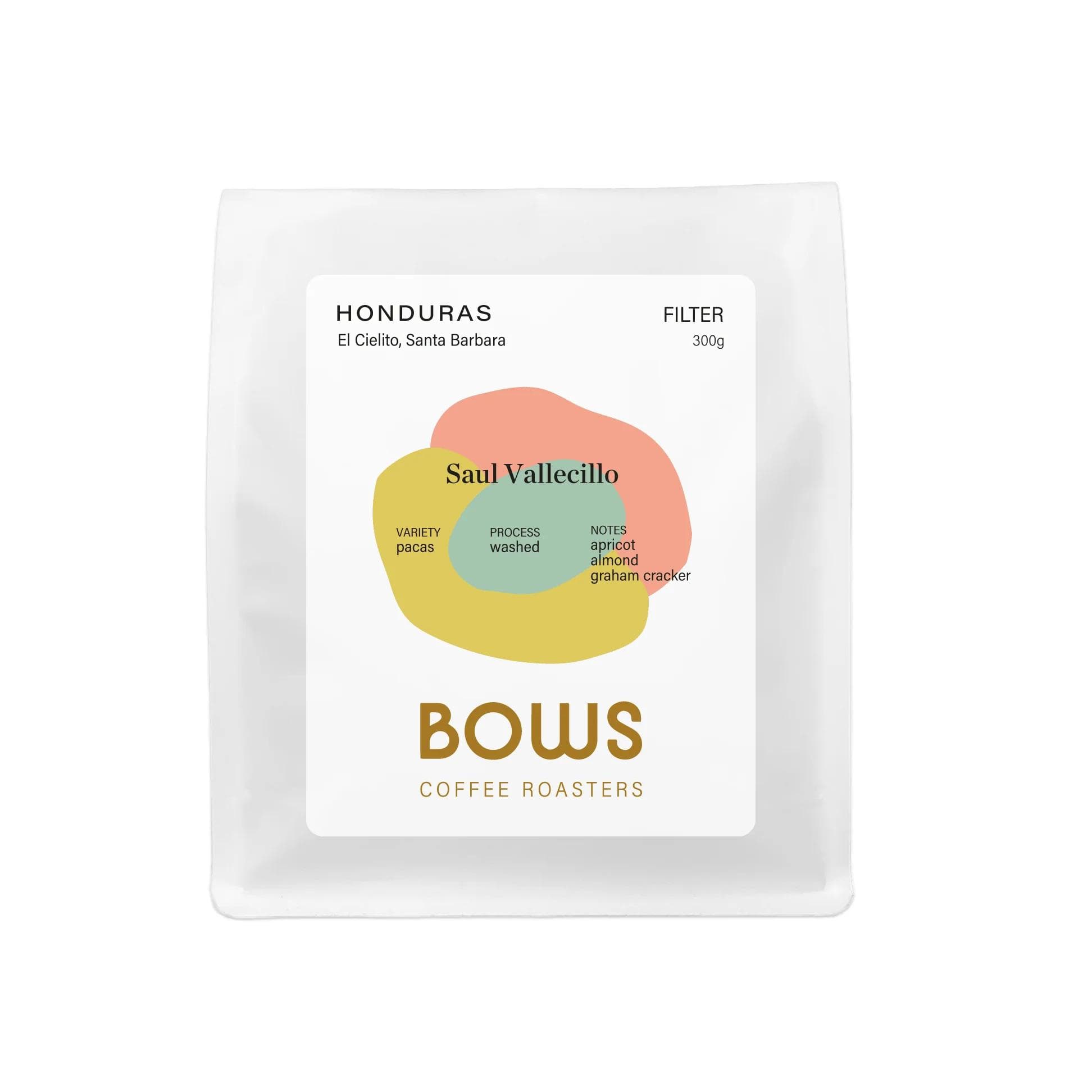 Image of Saul Vallecillo