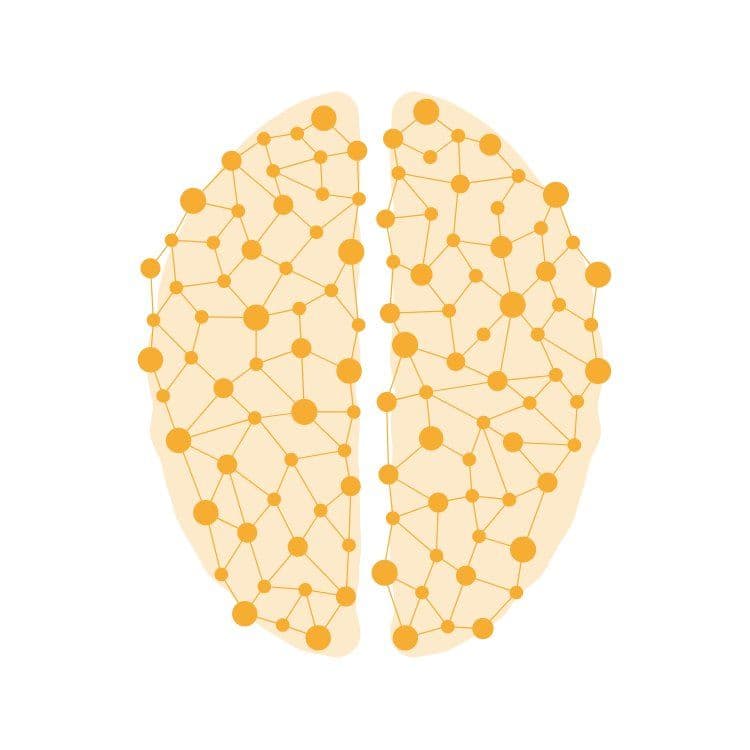 Image of Synapse Torréfaction.fr 