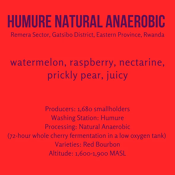 Image of Humure - Natural Anaerobic - Rwanda