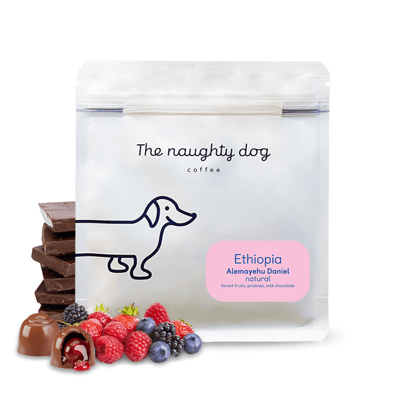 Image of Ethiopia Alemayehu Daniel