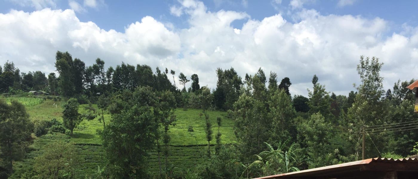 Image of Kenya Ngaita