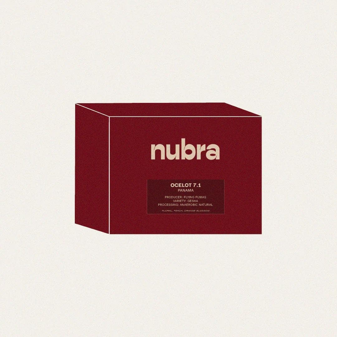 Image of Panama - Flying Pumas Ocelot