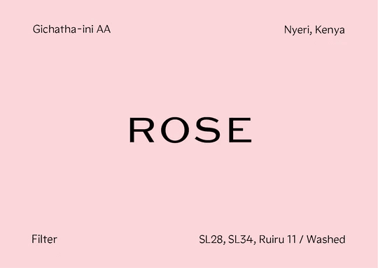 Image of Kenya - Gichatha-ini AA - SL28 SL34 Ruiru 11 - Washed