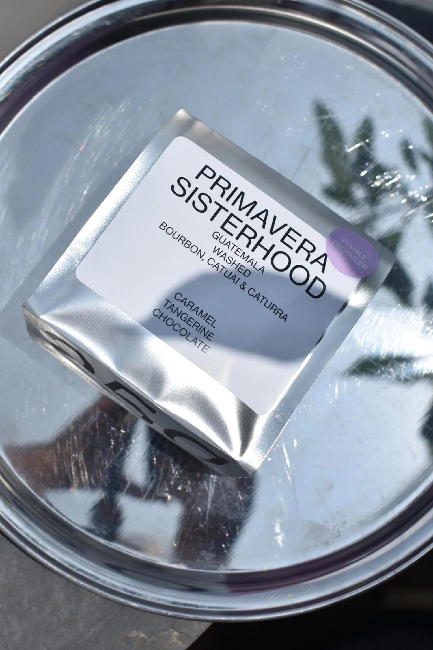 Image of Yeni Anacona