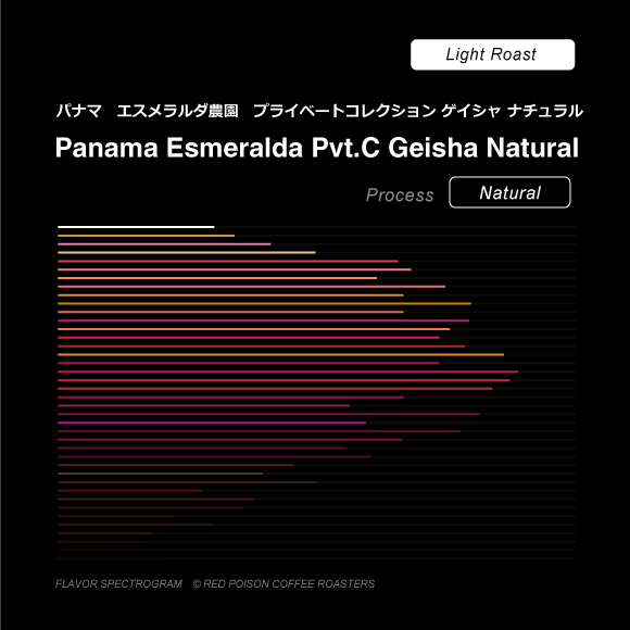 Image of Panama Esmeralda Private Collection Geisha Natural