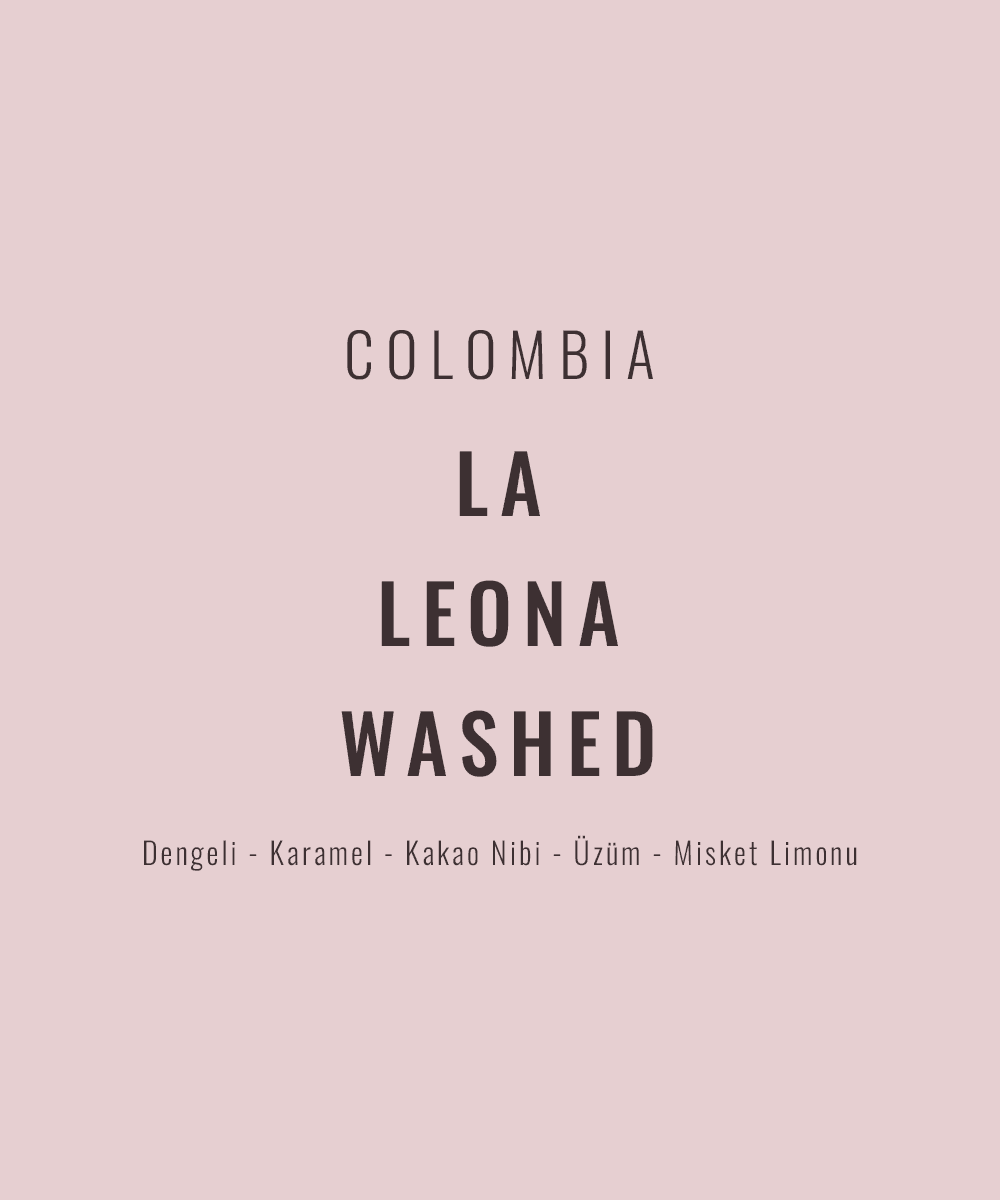 Image of Colombia - La Leona Washed