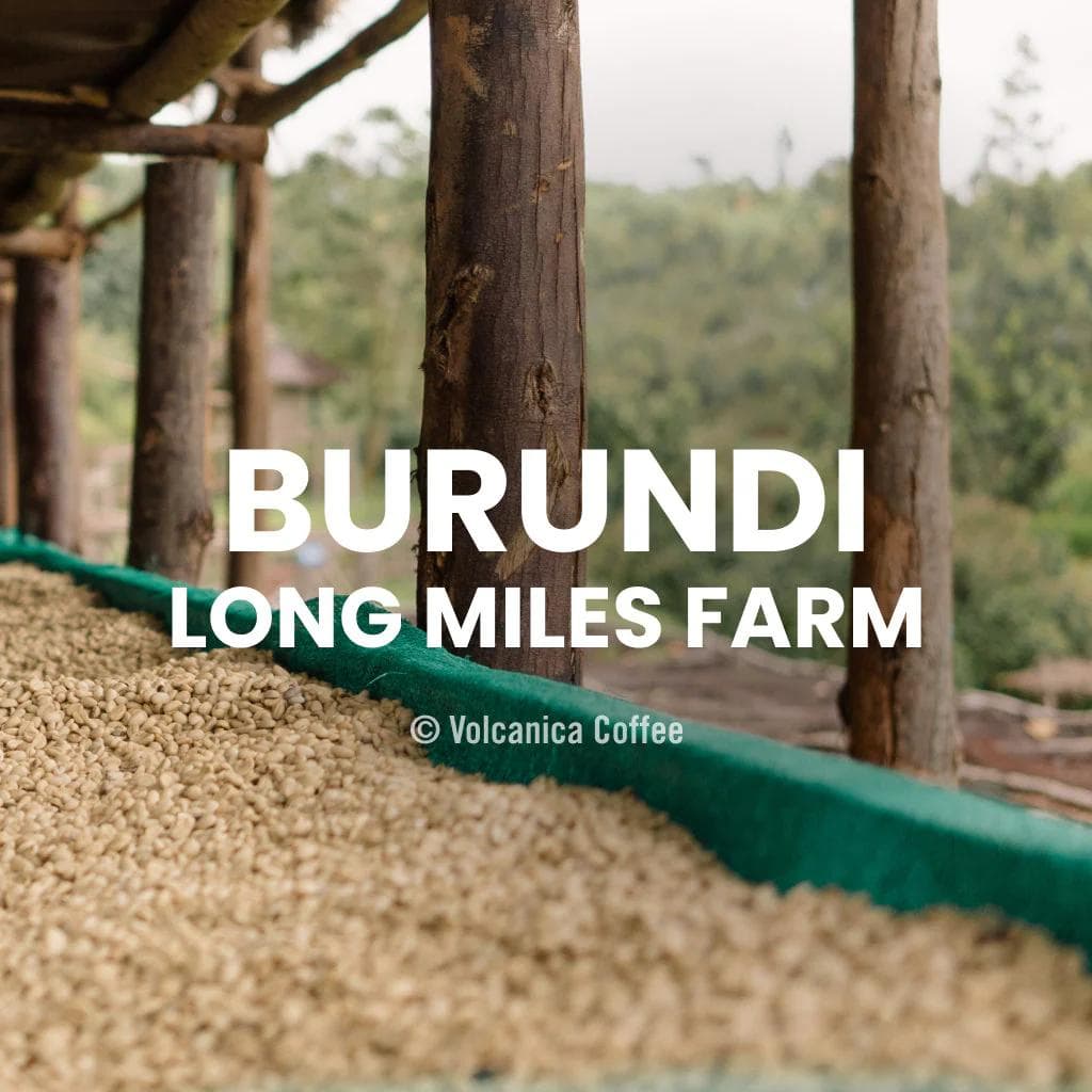 Image of Burundi Coffee - Long Miles Farm