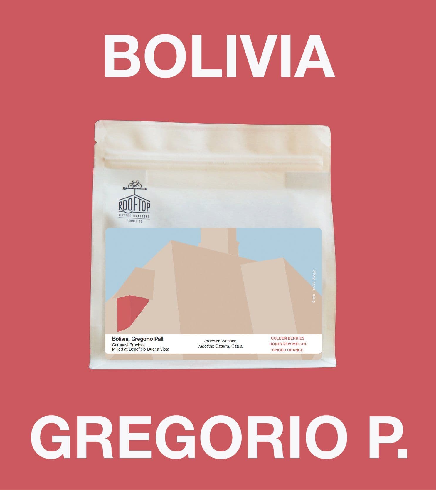 Image of Bolivia, Gregorio Palli