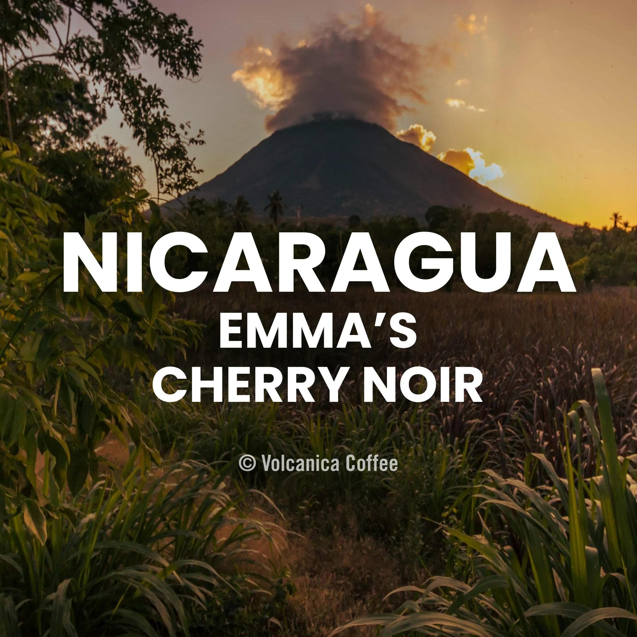 Image of Nicaragua Emmas Cherry Noir Coffee