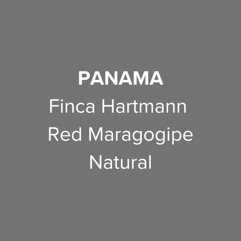 Image of Panama Finca Hartmann Red Maragogipe Natural