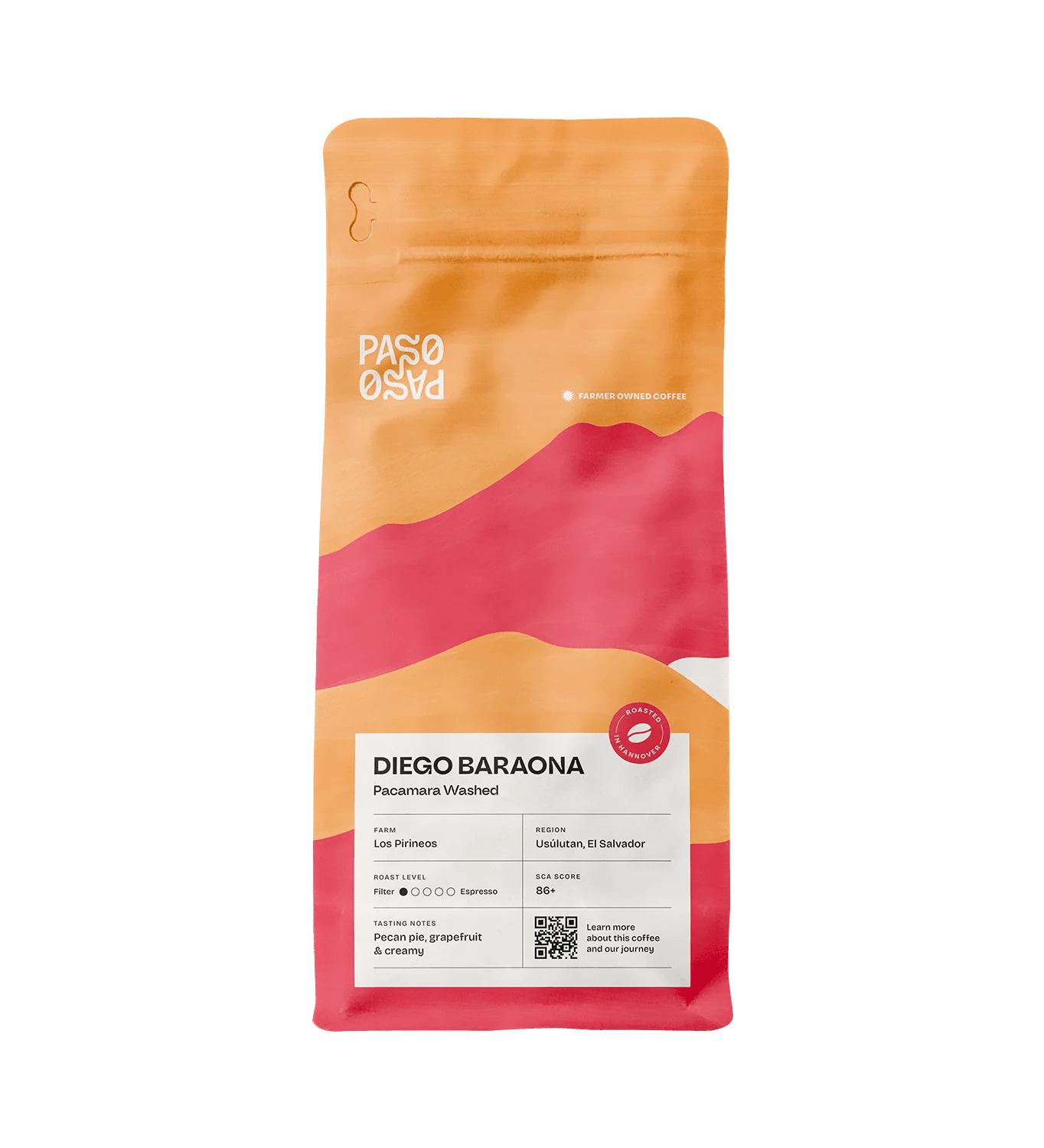 Image of Filter Coffee - Diego Baraona - Pacamara Washed