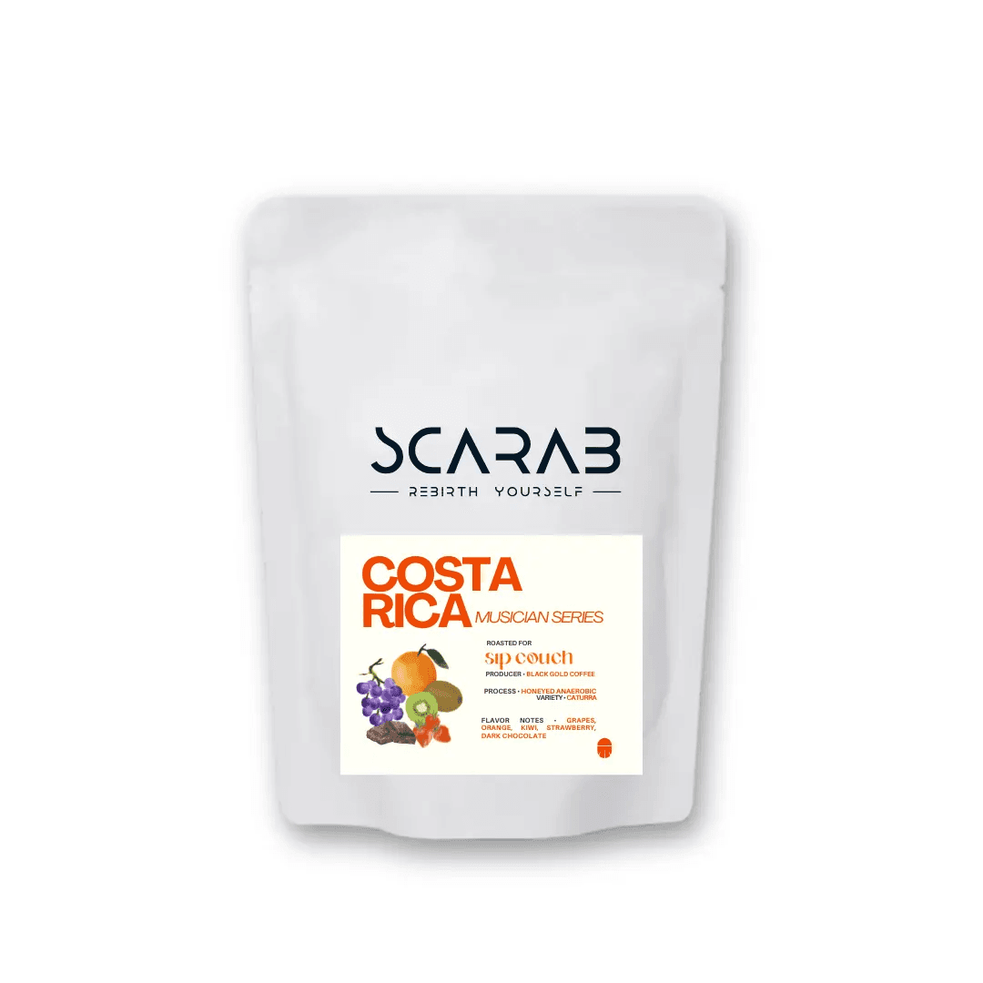 Image of Costa Rica Limited Edition Profile - Sip Couch