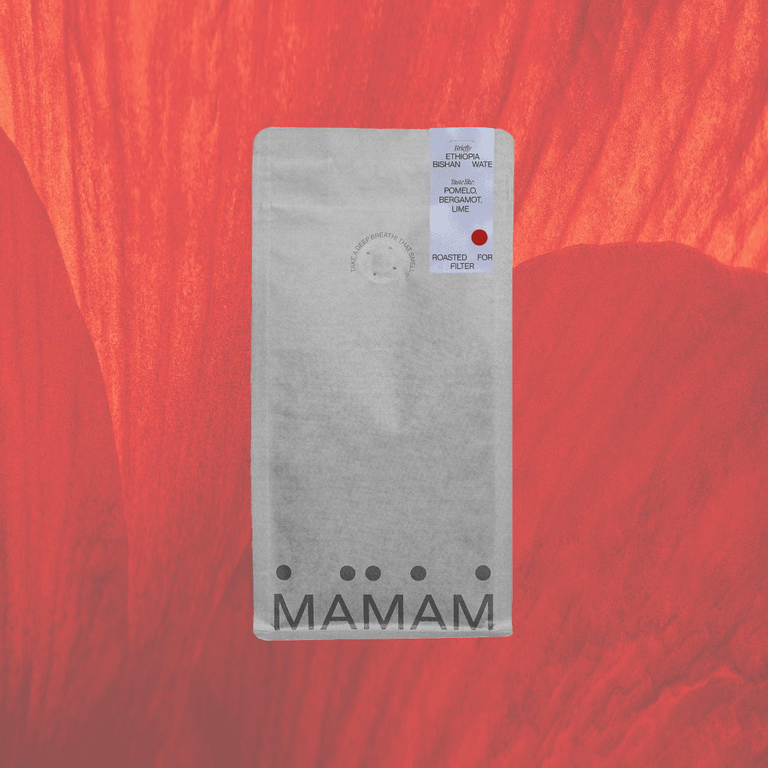 Image of Ethiopia Bishan Wate Filter