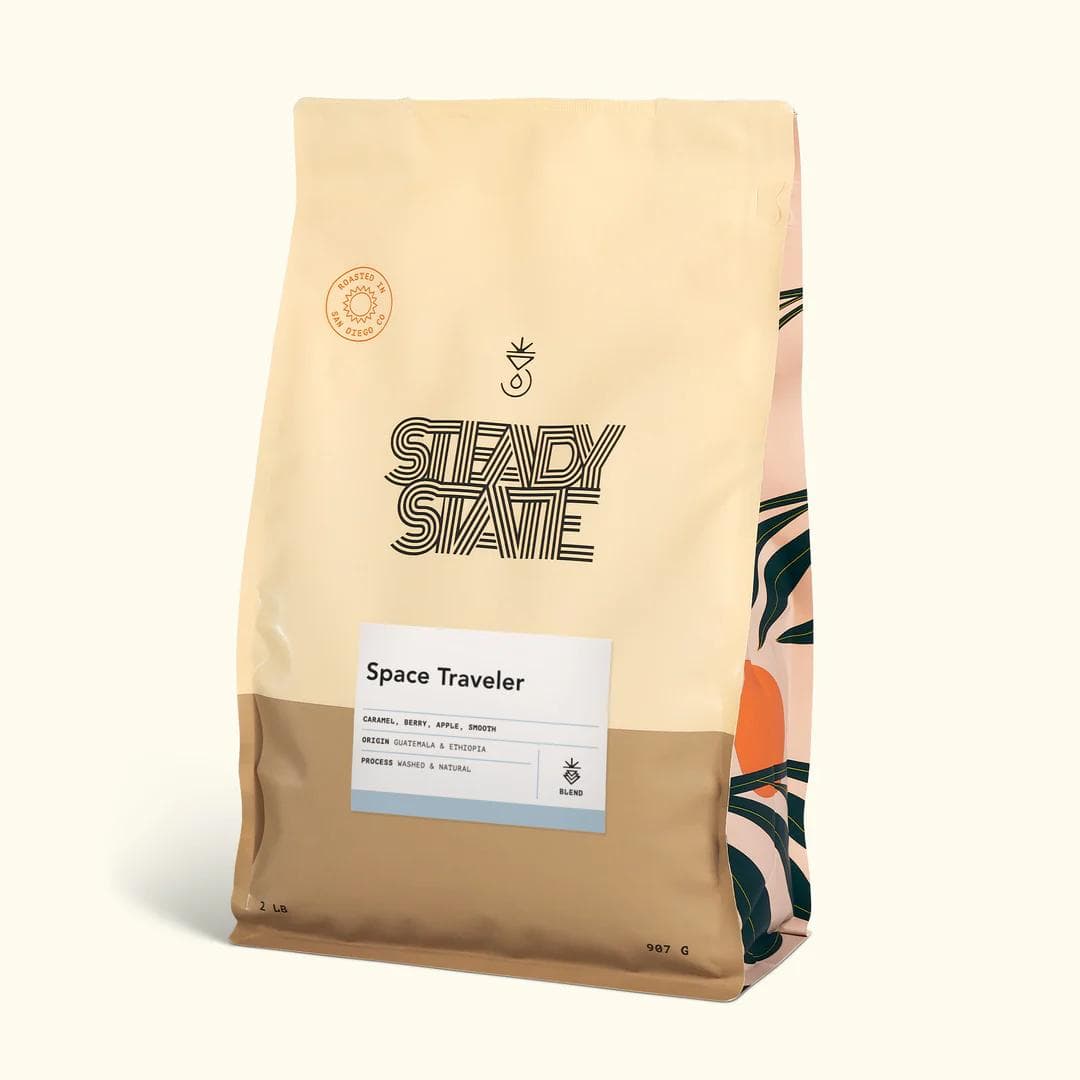 Image of Space Traveler