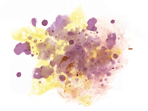 Image of Ecuador Maputo Typica Mejorado Honey