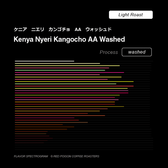 Image of Kenya Nyeri Kangocho AA Washed