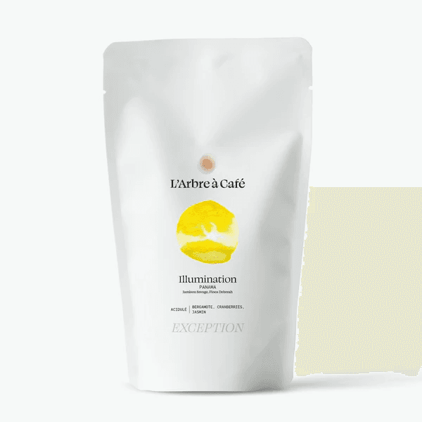 Image of Illumination Panama