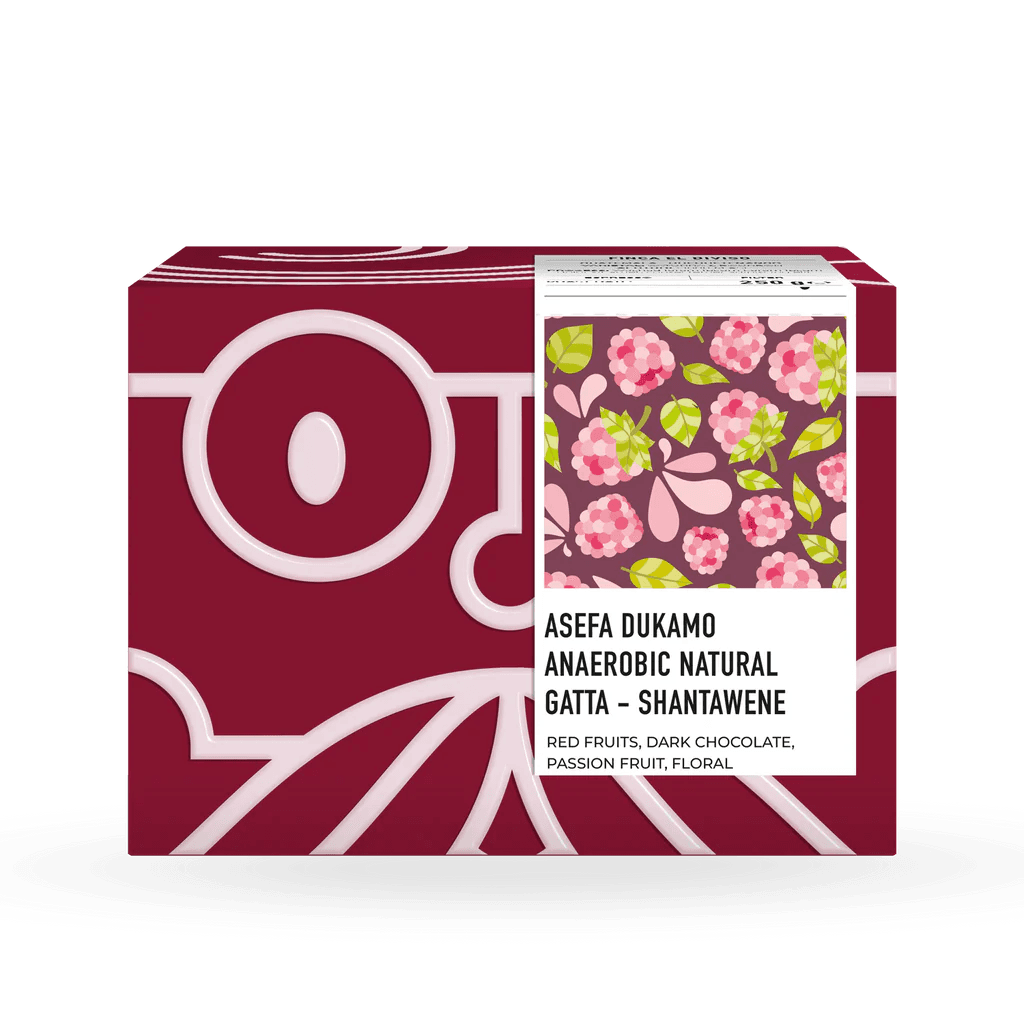 Image of Asefa Dukamo Anaerobic Natural - Shantawene Sidamo