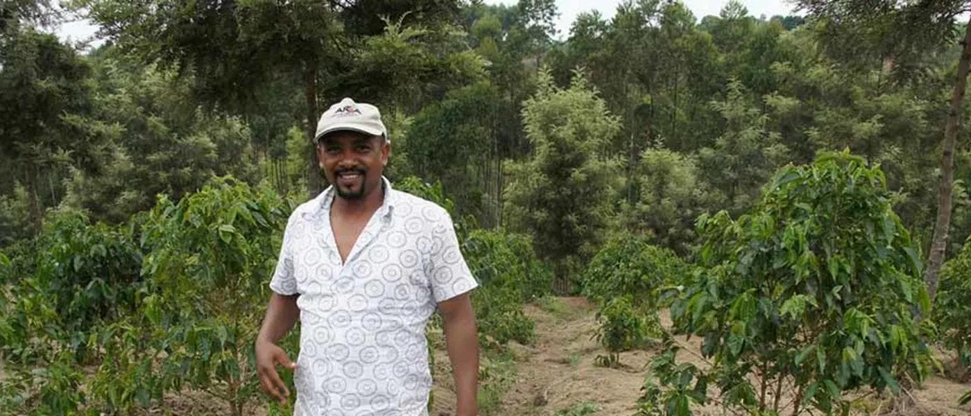 Image of Burundi Mbrizi Washing Station