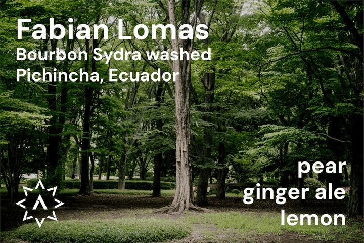 Image of Fabian Lomas