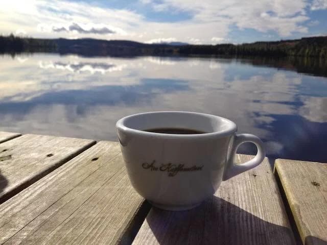 Image of Halo Beriti Brygg