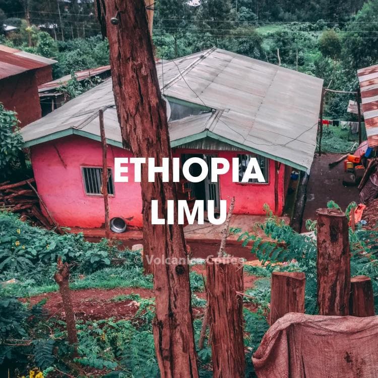 Image of Ethiopian Limu Coffee