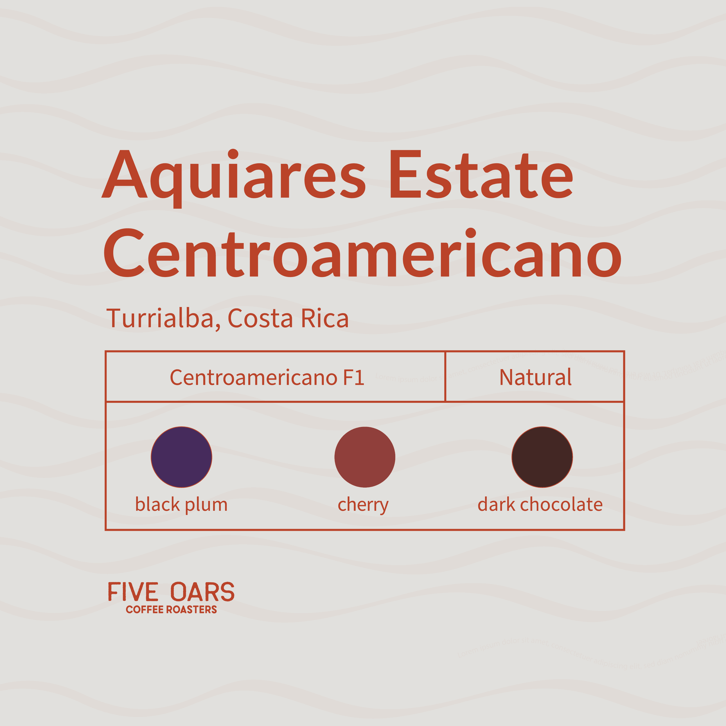 Image of Aquiares Estate Centroamericano