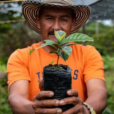 Image of Colombia Decaf de Cana