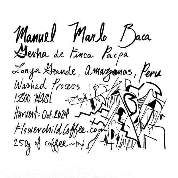 Image of Manuel Marlo