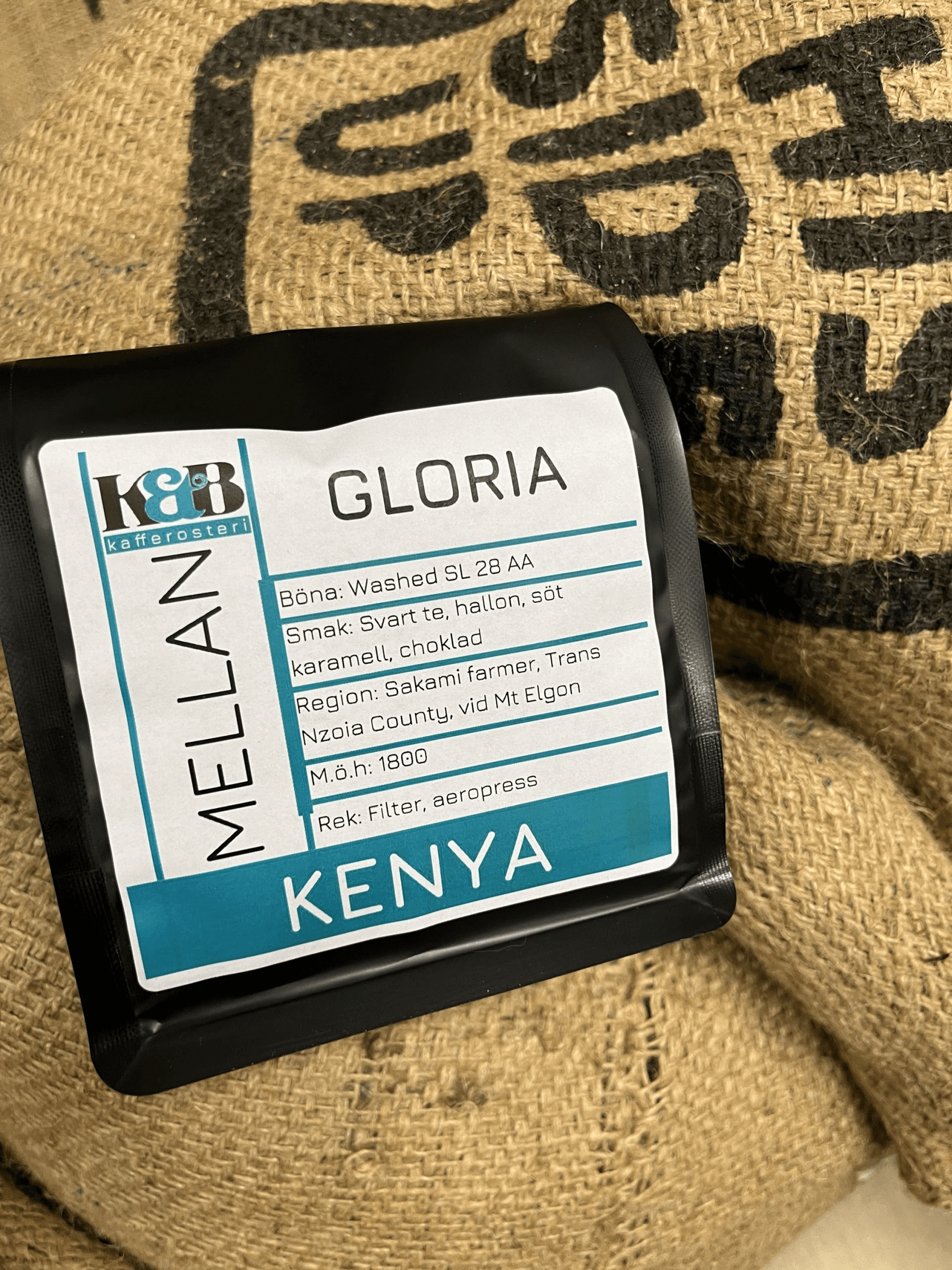 Image of Kenya - Gloria AA Between
