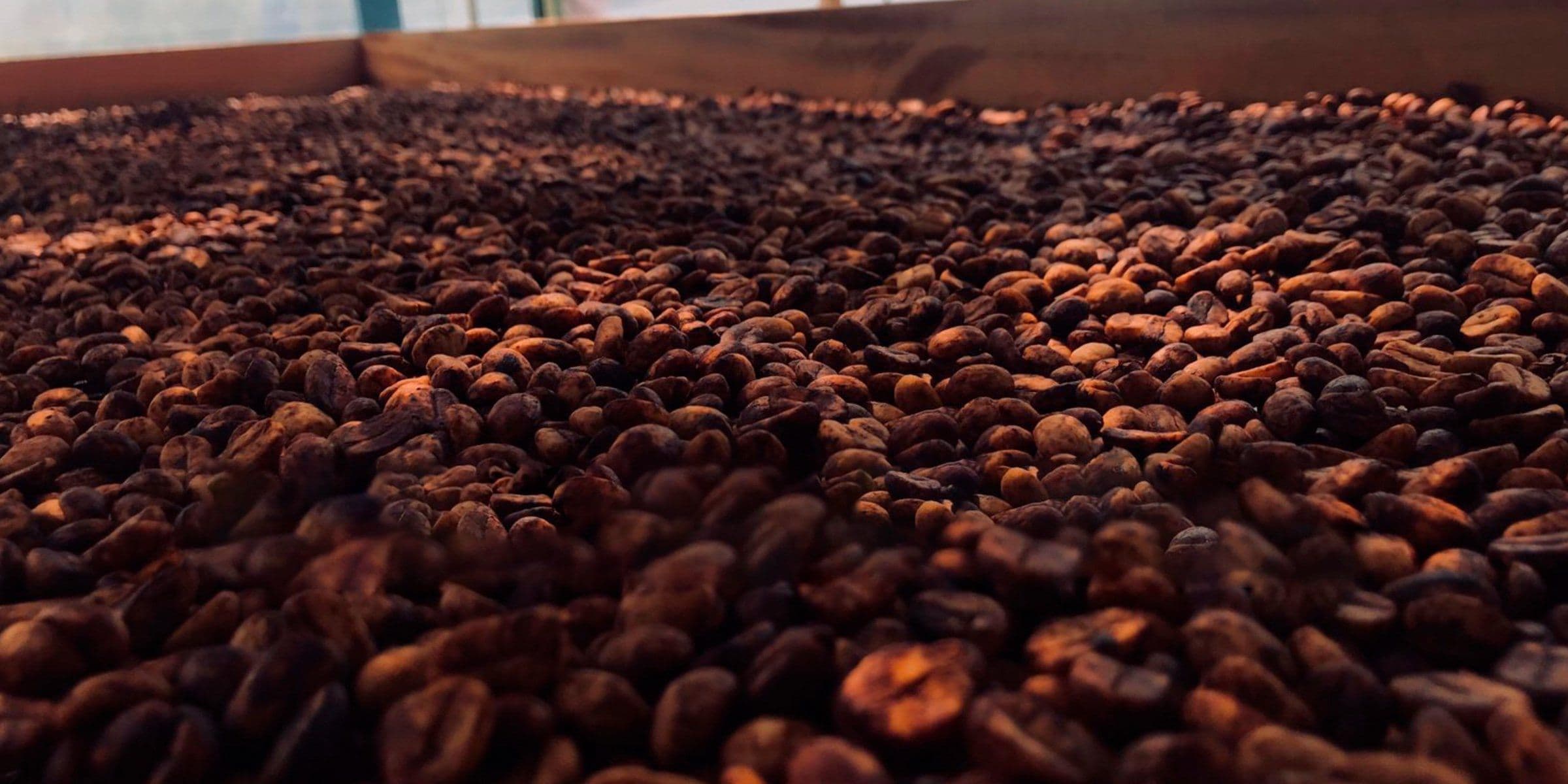 Image of Black Honey Coffee