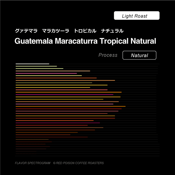 Image of Guatemala Maracaturra Tropical Natural