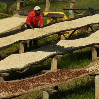 Image of Burundi Masha Honey