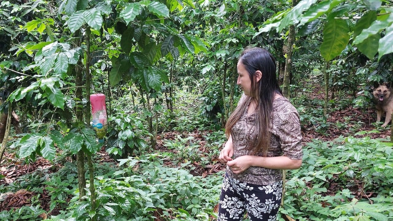 Image of El Salvador Chalatenango La Joya