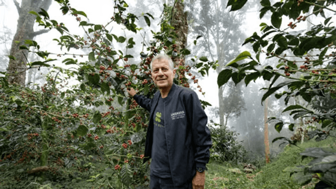 Image of Panama El Burro Washed