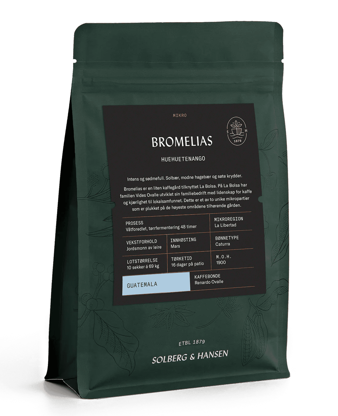 Image of Bromelias - Huehuetenango, Guatemala