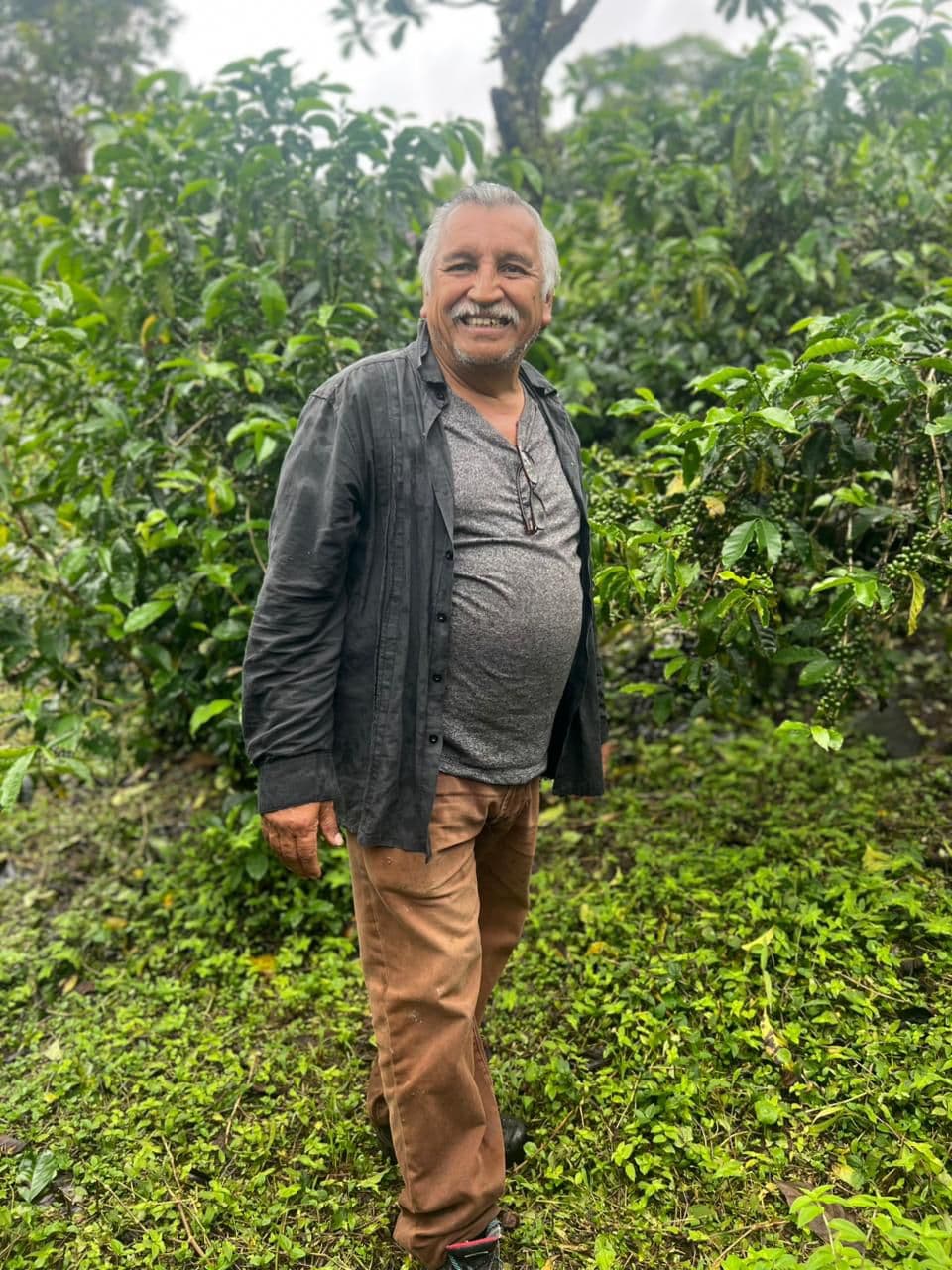 Image of Trompo Rosegold Nano Geisha Dark Room Natural