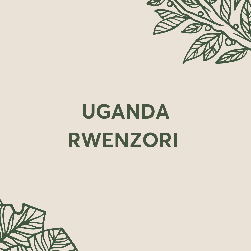 Image of Rwenzori Uganda