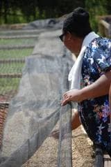 Image of Rwanda Dukorere Kawa Bukure Natural