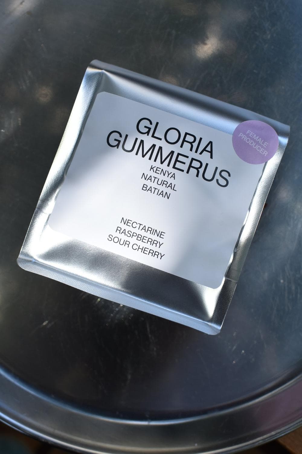 Image of Gloria Gummerus