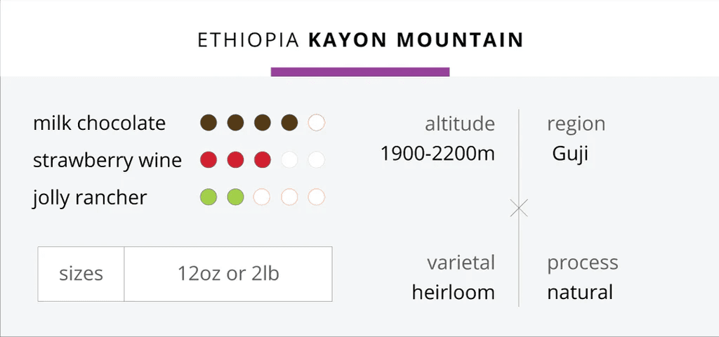 Image of Ethiopia Kayon Mountain (2024)
