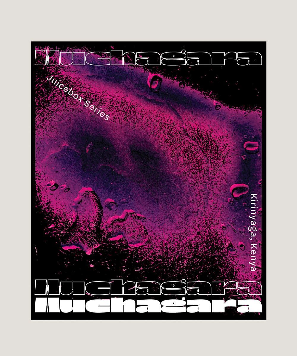 Image of Juicebox Series Muchagara AA from Kirinyaga Kenya
